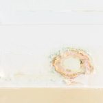 Trusted Water Damage Repair Specialists in Your Area
