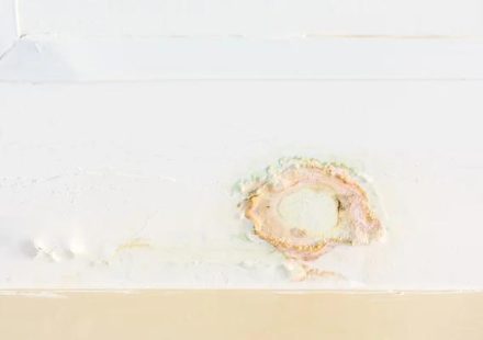 Trusted Water Damage Repair Specialists in Your Area
