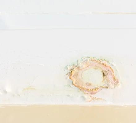 Trusted Water Damage Repair Specialists in Your Area
