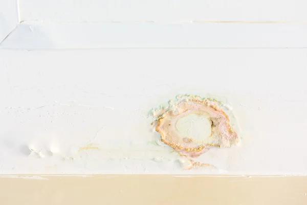 Trusted Water Damage Repair Specialists in Your Area
