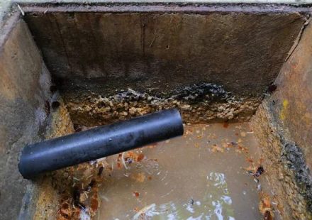 Professional Septic System Service in Savannah You Can Count On