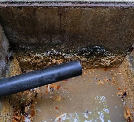 Professional Septic System Service in Savannah You Can Count On