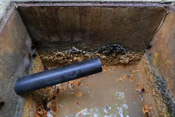 Professional Septic System Service in Savannah You Can Count On