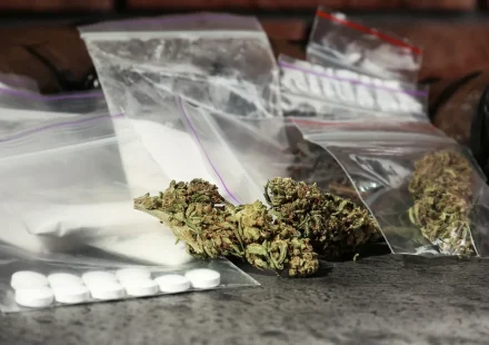 A Complete Resource for Online Wiet Kopen and Premium Cannabis Selection