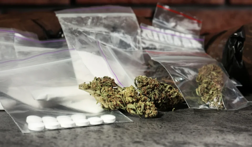A Complete Resource for Online Wiet Kopen and Premium Cannabis Selection