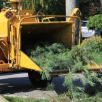 Affordable Tree Removal Service Mobile for Every Budget