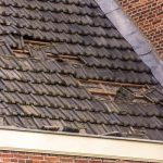 Storm Damage Restoration Fremont Services for Fast Home Recovery
