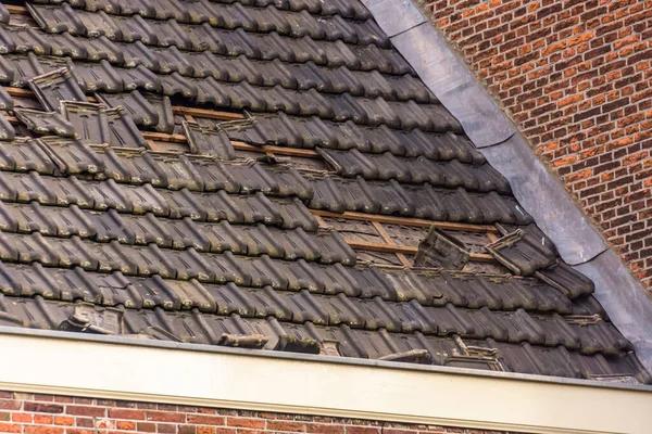 Storm Damage Restoration Fremont Services for Fast Home Recovery