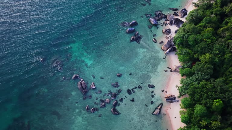 Explore Tioman Island Resorts Near Pristine Beaches